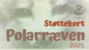 sttte kort polarrven-2